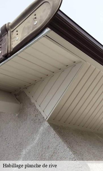 Habillage planche de rive Lemanique AJ Suisse