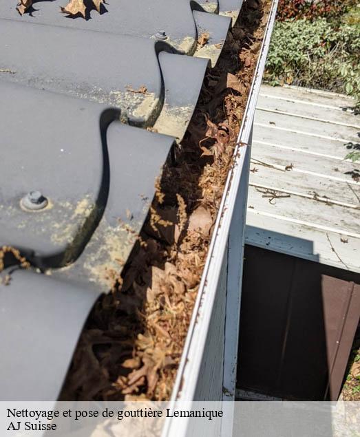 Nettoyage et pose de gouttière Lemanique AJ Suisse