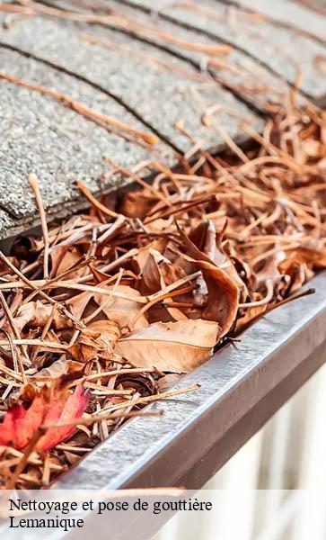 Nettoyage et pose de gouttière Lemanique AJ Suisse