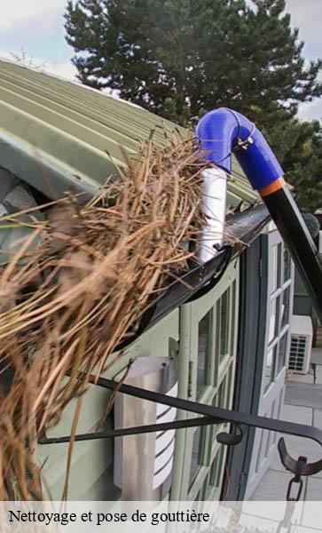 Nettoyage et pose de gouttière Lemanique AJ Suisse