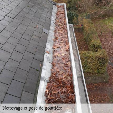 Nettoyage et pose de gouttière Lemanique AJ Suisse