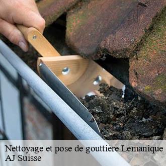 Nettoyage et pose de gouttière Lemanique AJ Suisse