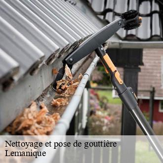 Nettoyage et pose de gouttière Lemanique AJ Suisse