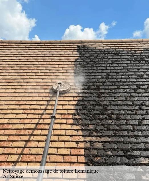 Nettoyage demoussage de toiture Lemanique AJ Suisse
