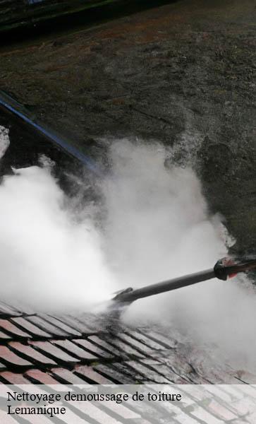 Nettoyage demoussage de toiture Lemanique AJ Suisse