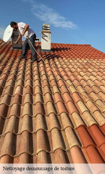 Nettoyage demoussage de toiture Lemanique AJ Suisse