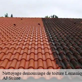Nettoyage demoussage de toiture Lemanique AJ Suisse