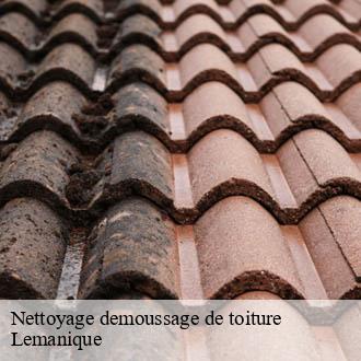 Nettoyage demoussage de toiture Lemanique AJ Suisse