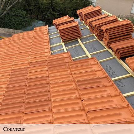 Couvreur st-cergue-1264 AJ Suisse