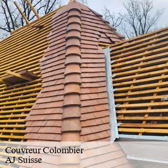 Couvreur colombier-2013 AJ Suisse