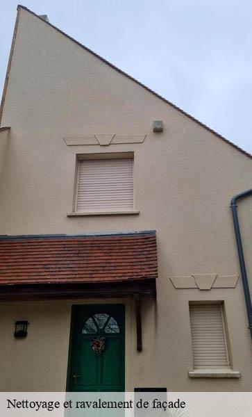 Nettoyage et ravalement de façade Lemanique AJ Suisse