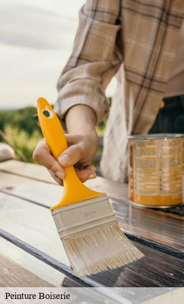 Peinture Boiserie Lemanique AJ Suisse