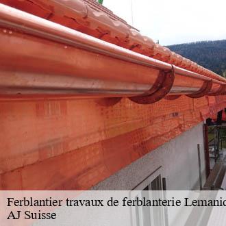 Ferblantier travaux de ferblanterie Lemanique AJ Suisse