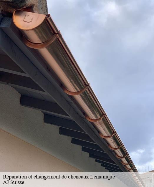 Réparation et changement de cheneaux Lemanique AJ Suisse