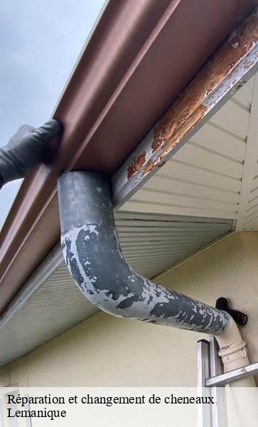 Réparation et changement de cheneaux Lemanique AJ Suisse