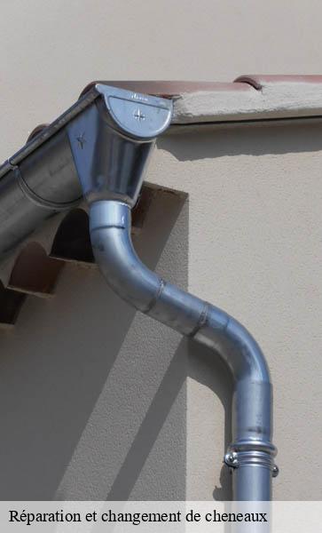 Réparation et changement de cheneaux Lemanique AJ Suisse