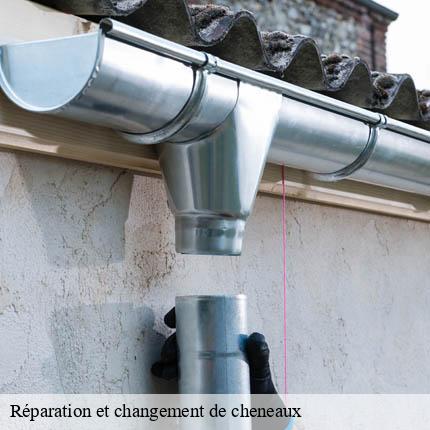 Réparation et changement de cheneaux Lemanique AJ Suisse