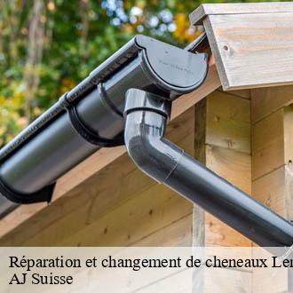 Réparation et changement de cheneaux Lemanique AJ Suisse