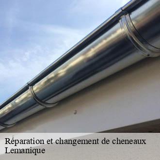 Réparation et changement de cheneaux Lemanique AJ Suisse
