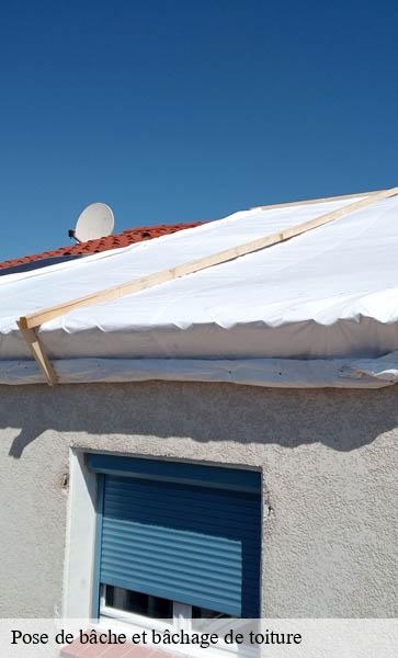 Pose de bâche et bâchage de toiture Lemanique AJ Suisse