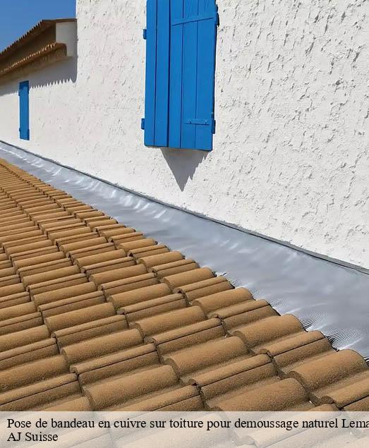 Pose de bandeau en cuivre sur toiture pour demoussage naturel Lemanique AJ Suisse