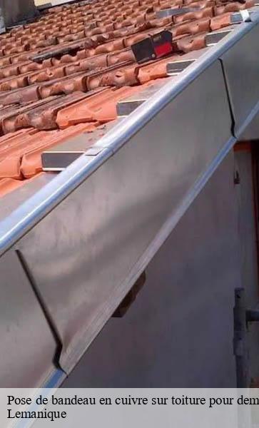 Pose de bandeau en cuivre sur toiture pour demoussage naturel Lemanique AJ Suisse