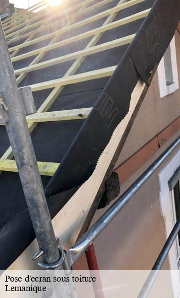 Pose d'ecran sous toiture Lemanique AJ Suisse