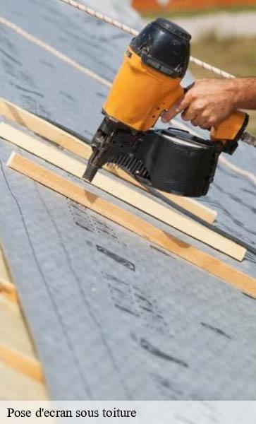 Pose d'ecran sous toiture Lemanique AJ Suisse