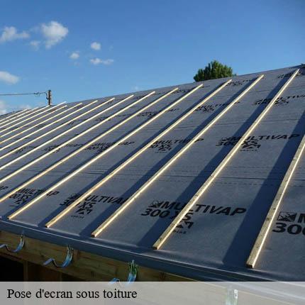 Pose d'ecran sous toiture Lemanique AJ Suisse