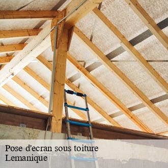 Pose d'ecran sous toiture Lemanique AJ Suisse