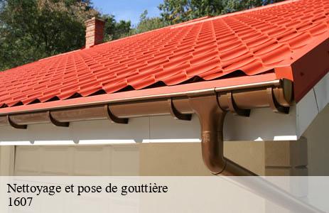 nettoyage-et-pose-de-gouttiere